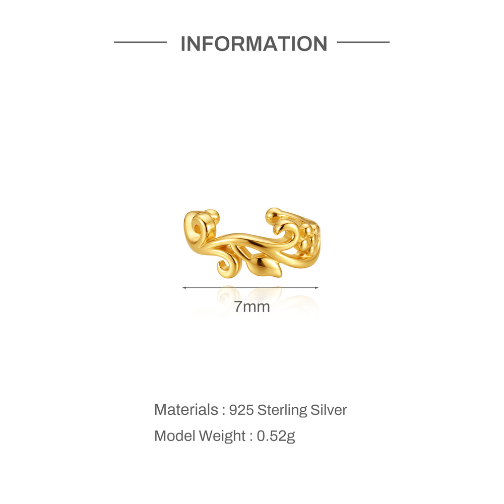 Aide 925 Sterling Silber Vergo – Ear Cuff No Piercing Bewertung und Preis